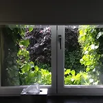 Matin Tranquille Liège