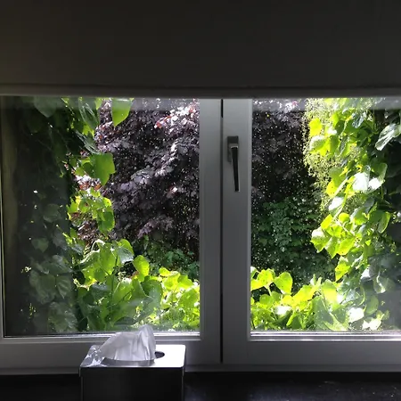 Matin Tranquille リエージュ