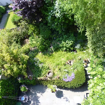 Matin Tranquille リエージュ