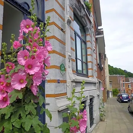 Matin Tranquille Bed and Breakfast