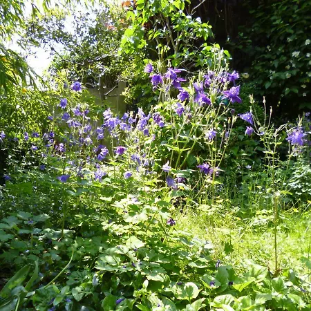 Matin Tranquille 3* リエージュ