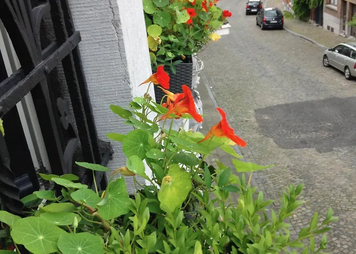 Matin Tranquille Alojamento de Acomodação e Pequeno-almoço 3*