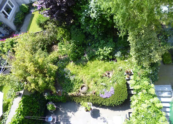 Matin Tranquille Liège