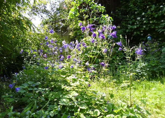 Matin Tranquille 3* Liège